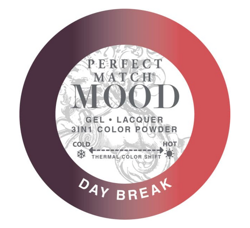 Perfect Match Mood 3 in 1 Powder – Daybreak 53