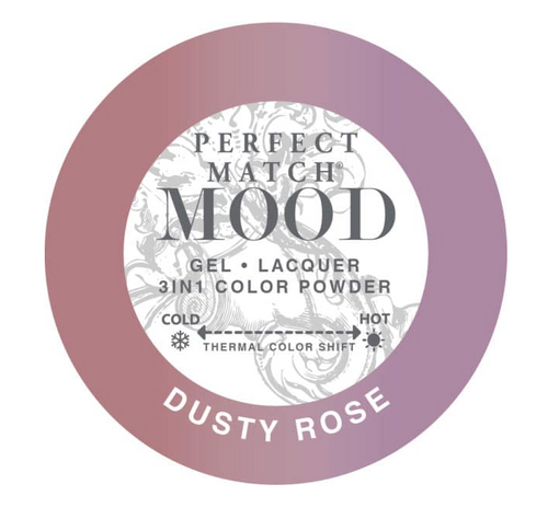 Perfect Match Mood 3 in 1 Powder – Dusty Rose 61