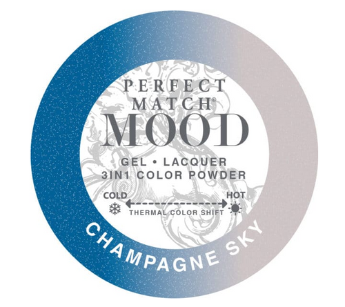 Perfect Match Mood 3 in 1 Powder – Champagne Sky 66